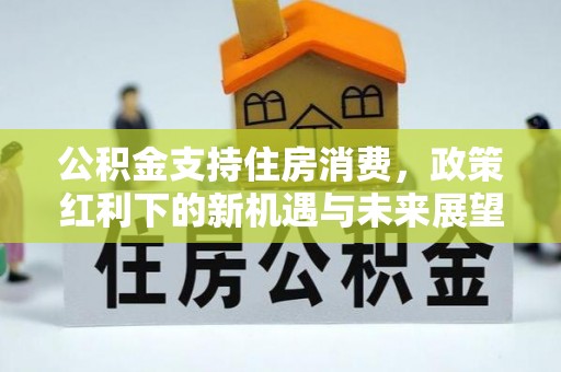 北湖公积金支持住房消费，政策红利下的新机遇与未来展望