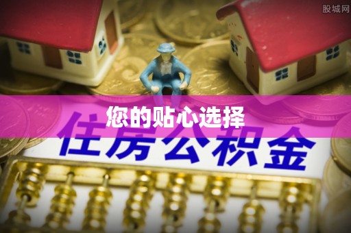 舟曲您的贴心选择